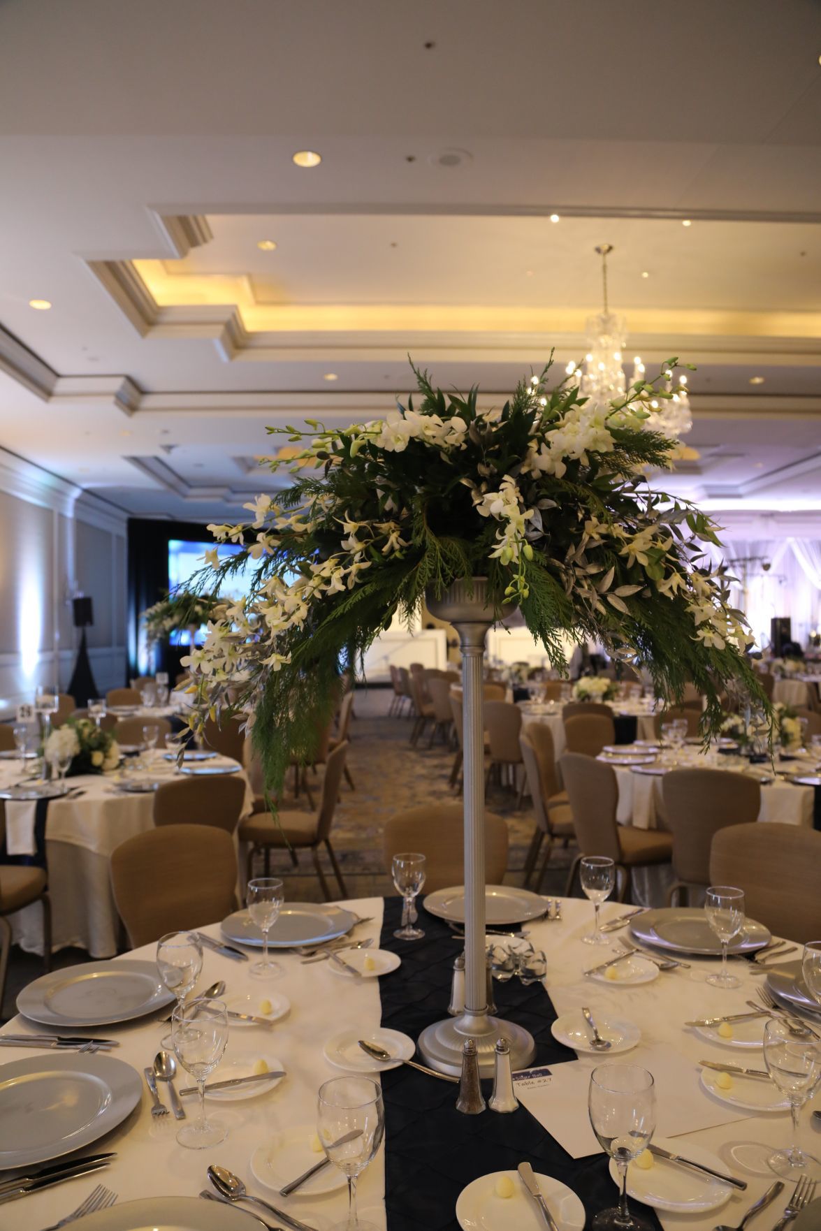 2018-Arthritis-Ball-007.JPG